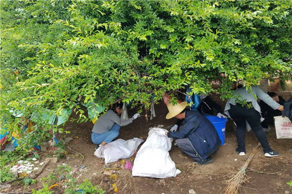 3香格里拉市紀委監察局黨員干部參加北門社區“百雞寺”周邊義務打掃活動 (1).jpg