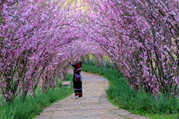 4、花花世界，伊人沉醉_副本.jpg