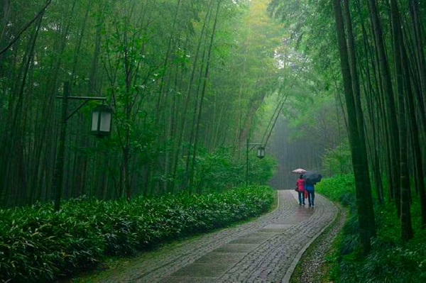 好雨知時節，當春乃發生。（朱宇  攝）.jpg