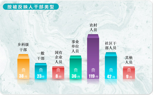 4.按反映人干部類型.jpg